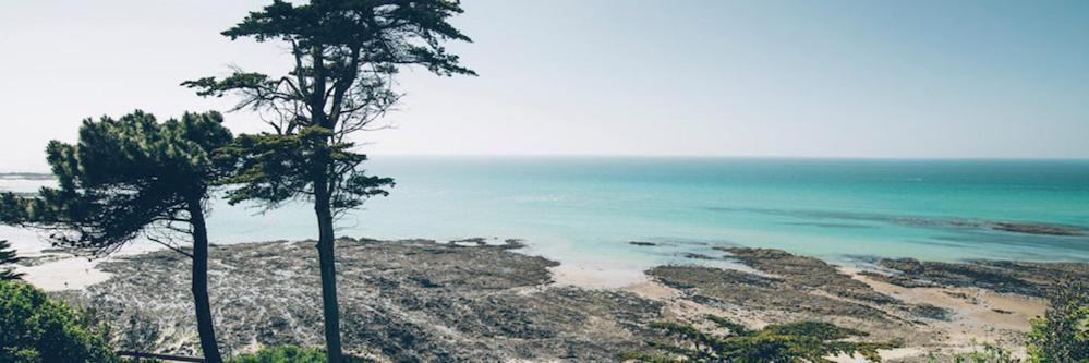 Les Iles Vue Sur Mer Agon-Coutainville Exterior photo
